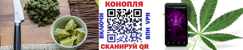 Canna-Cookies конопля  Сольвычегодск 