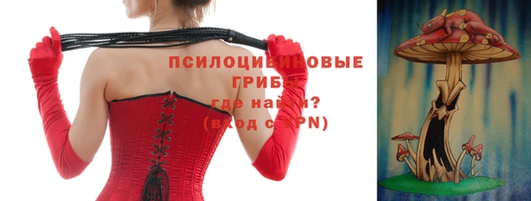спиды Алзамай