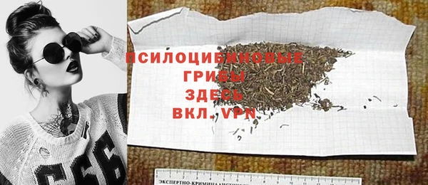 гашик Покачи
