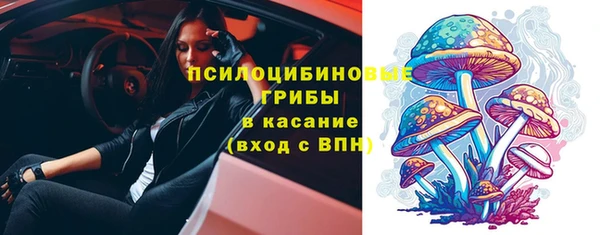 спиды Алзамай