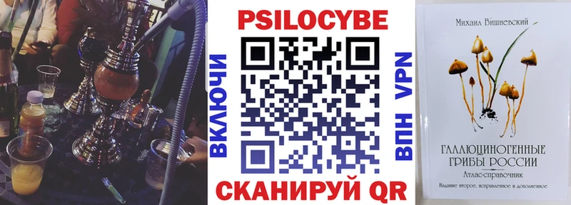 дарк нет наркотические препараты  мега зеркало  Сольвычегодск  цена   Псилоцибиновые грибы GOLDEN TEACHER 